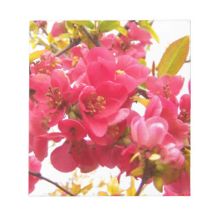 日本ピンク春の花低木 ノートパッド