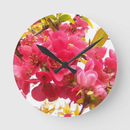 日本ピンク春の花低木 ラウンド壁時計 (正面)