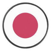 日本ホッケーパック アイスホッケーパック (正面)
