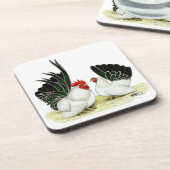 日本人のBlacktailのチャボ コースター (左側)