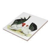 日本人のBlacktailのチャボ タイル (側面)