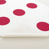 日本国旗を掲げた愛国心シェルパ毛布 シェルパブランケット (3/4)