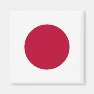 日本国旗を掲げた磁石 マグネット