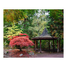 日本庭園の亭と紅葉