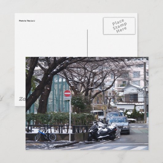 日本東京養生 ポストカード (正面/裏面)