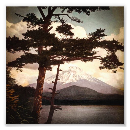 日本松の木を通る富士山ヴィンテージ フォトプリント (正面)
