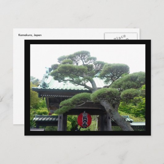 日本樹 ポストカード (正面/裏面)