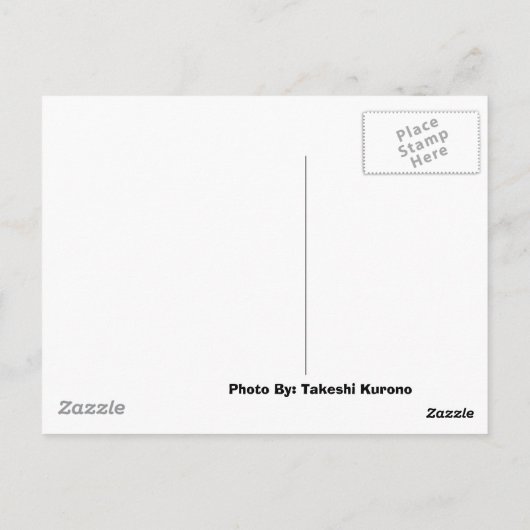 日本消防車 ポストカード (裏面)