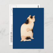 日本猫、国芳日本の猫、国芳、浮世絵 ポストカード (正面/裏面)