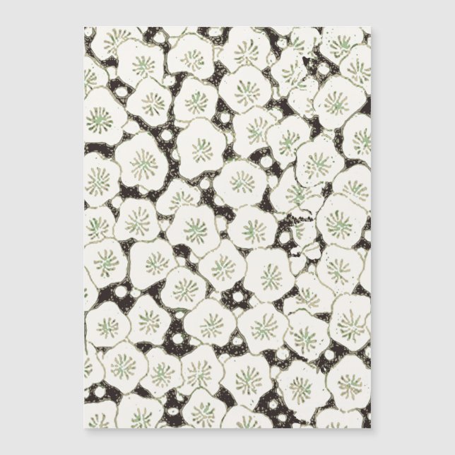 日本白花フローラ園 (正面)