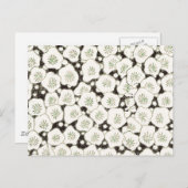 日本白花フローラ園 ポストカード (正面/裏面)