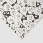 日本白花フローラ園 薄葉紙 (詳細)