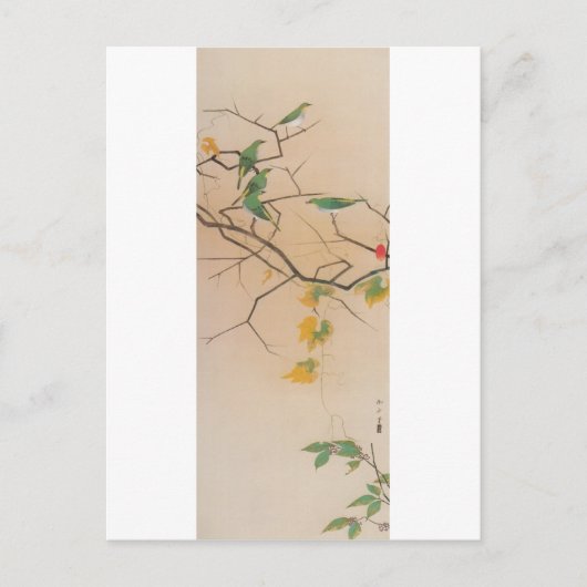 日本美術日本のの青写真：メジロ,速水御舟 ポストカード (正面)