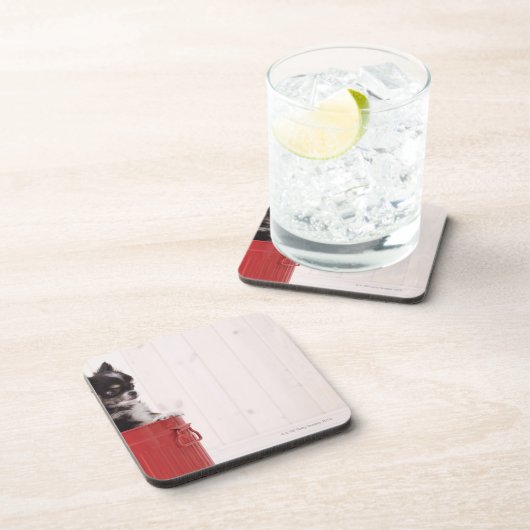 日本4 コースター (右側)