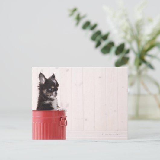 日本4 ポストカード (スタンド正面)