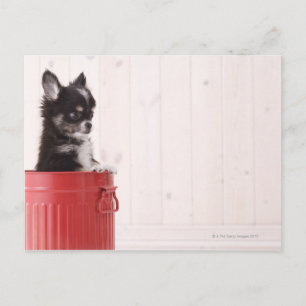 日本4 ポストカード