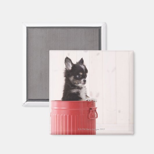 日本4 マグネット (正面/裏面)