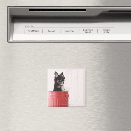 日本4 マグネット (インサイチュ (食洗機))