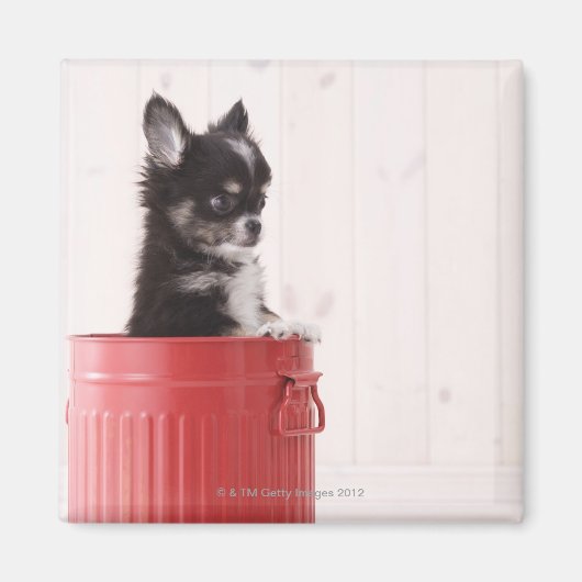 日本4 マグネット (正面)