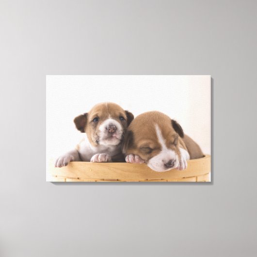 日本5 キャンバスプリント (正面)