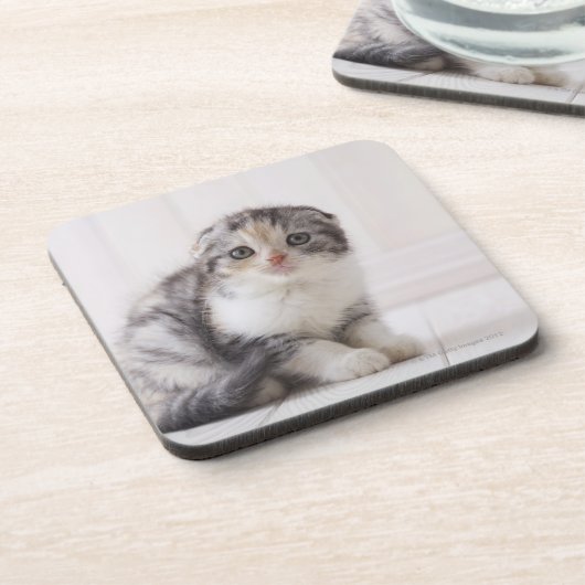 日本5 コースター (左側)