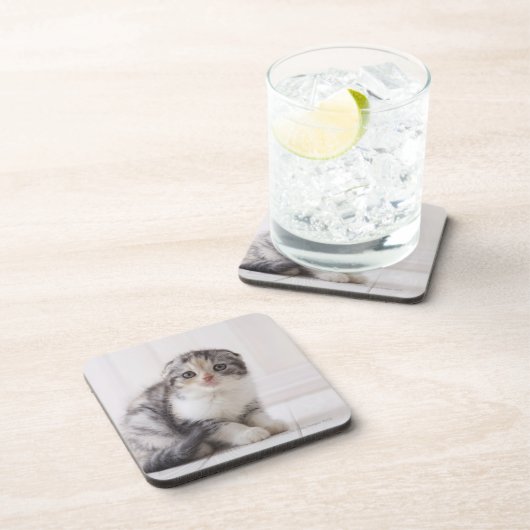 日本5 コースター (右側)