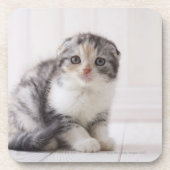 日本5 コースター (正面)