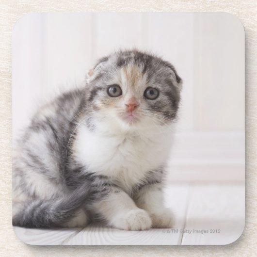 日本5 コースター (正面)