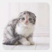 日本5 スクエアシール (正面)