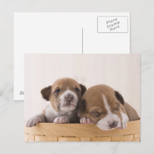 日本 ポストカード (正面/裏面)