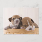 日本 ポストカード (正面)