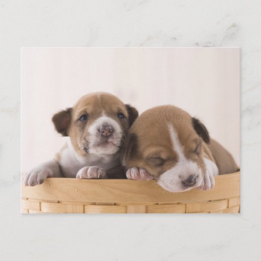 日本 ポストカード (正面)