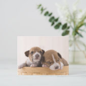 日本 ポストカード (スタンド正面)