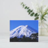 日本 ポストカード (スタンド正面)