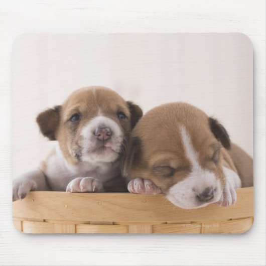 日本 マウスパッド (正面)