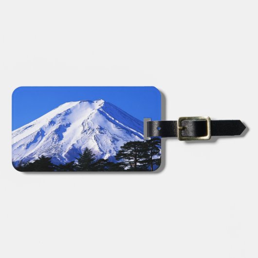 日本 ラゲッジタグ (正面横)