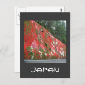 日本，ワロフカラー ポストカード (正面/裏面)