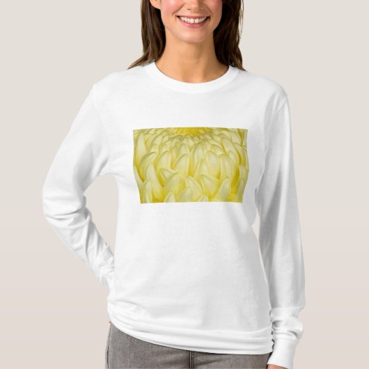 日本 三重 伊勢神宮 菊 Tシャツ (正面)