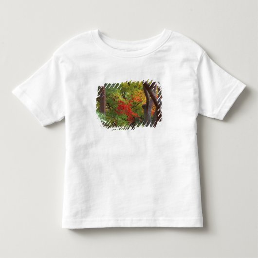 日本 京都府 京都市 嵐山 大河内山荘 5 トドラーTシャツ (正面)