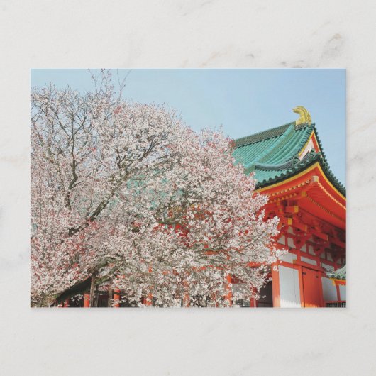 日本、京都。さくらんぼの花 ポストカード (正面)