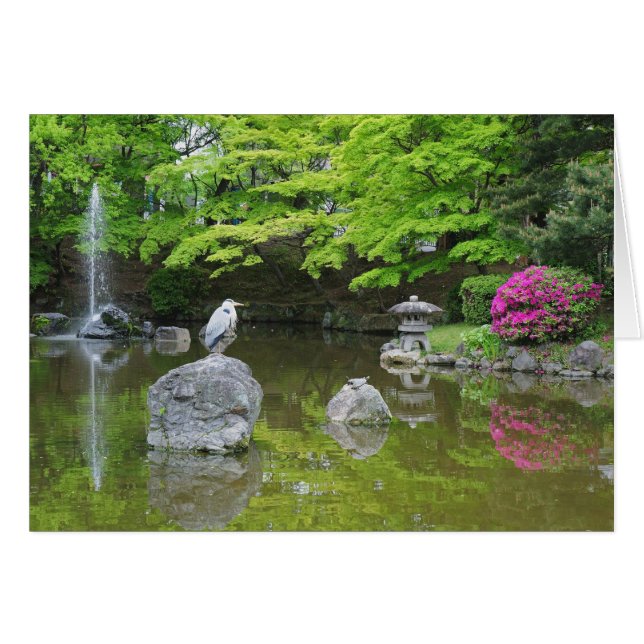 日本、京都。新緑の葉の中のアオサギ (正面横)