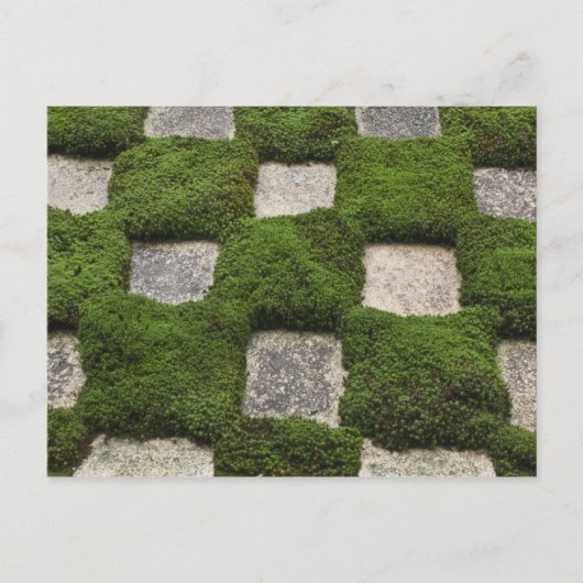 日本，京都，東福寺庭園 ポストカード (正面)