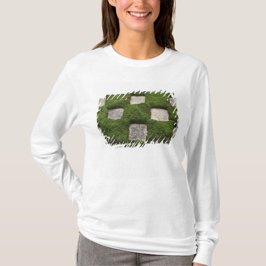 日本 京都 東福寺庭園 Tシャツ (正面)