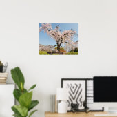 日本、京都。水色の空の下でのしだれ桜 ポスター (ホームオフィス)
