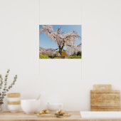 日本、京都。水色の空の下でのしだれ桜 ポスター (キッチン)