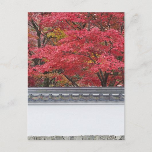 日本 京都 永観堂の紅葉 ポストカード (正面)