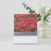 日本 京都 永観堂の紅葉 ポストカード (スタンド正面)
