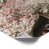 日本、京都。神道の桜 ポスター (角)
