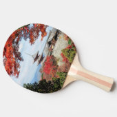 日本、京都。秋の清水寺 卓球ラケット (横)