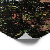 日本、京都。秋色の清水寺 ポスター (角)